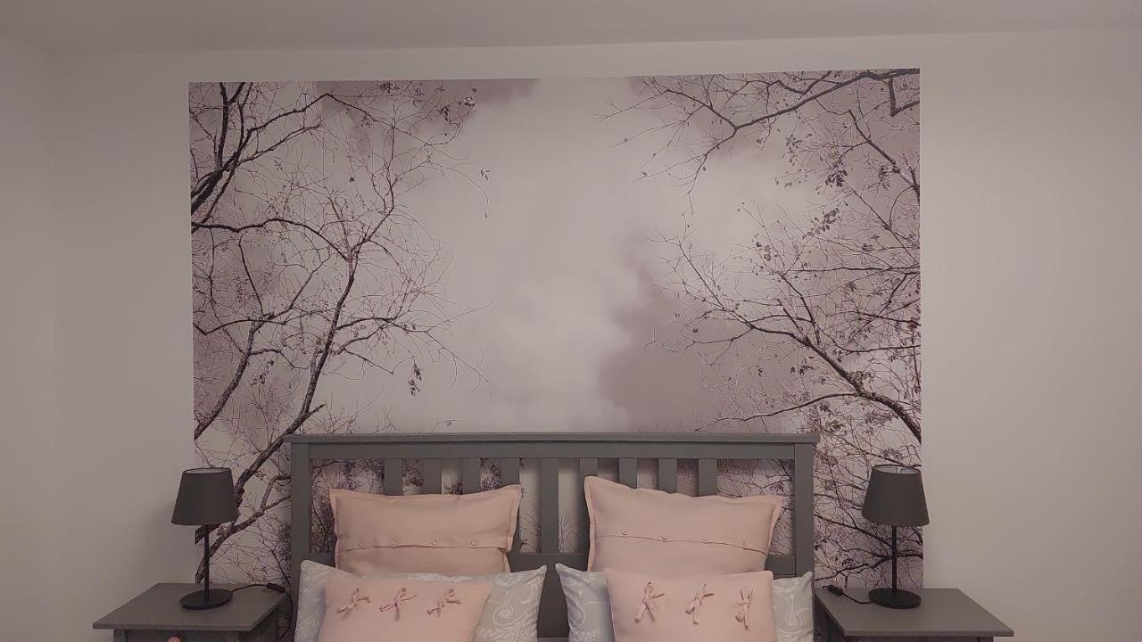 Halle  Helles Modern Eingerichtetes Apartment מראה חיצוני תמונה