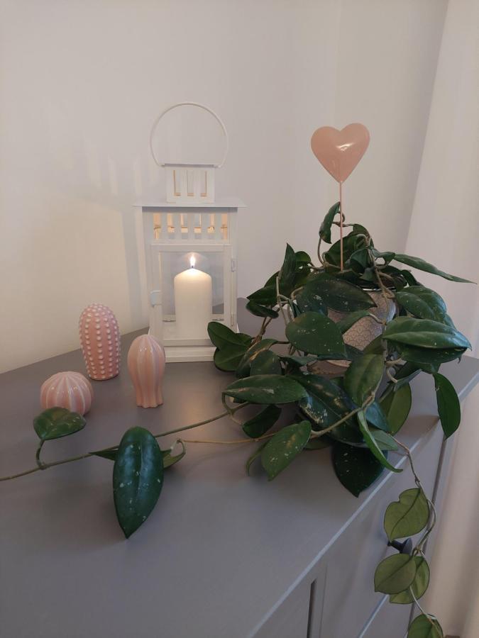 Halle  Helles Modern Eingerichtetes Apartment מראה חיצוני תמונה